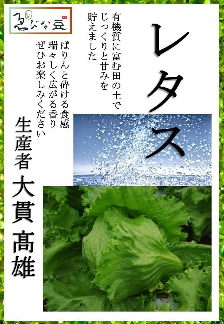 レタス