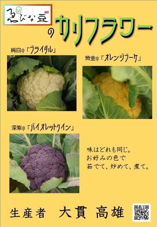 冬野菜　カリフラワー