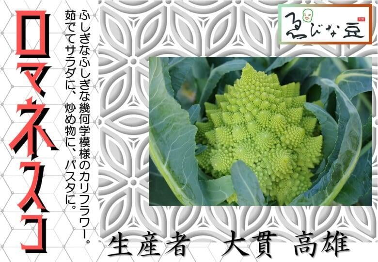 冬野菜　ロマネスコ