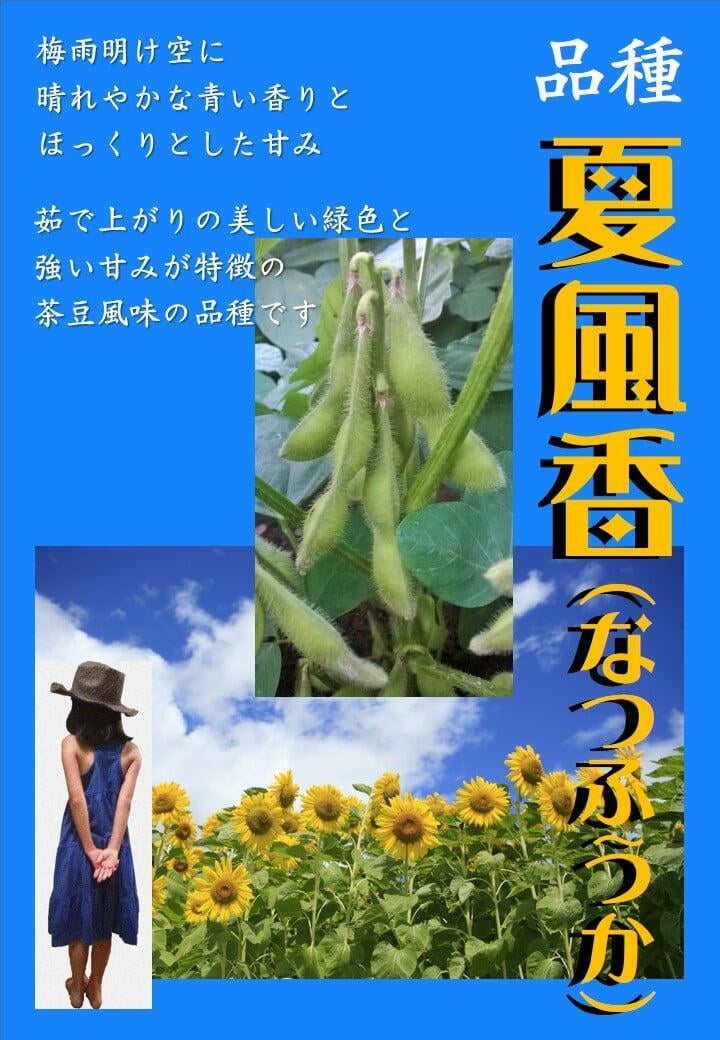 枝豆　夏風香