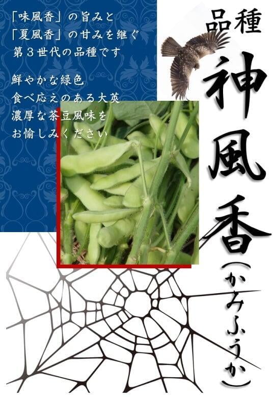 枝豆　神風香