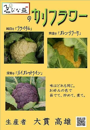 冬野菜　カリフラワー