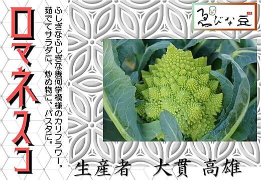 冬野菜　ロマネスコ