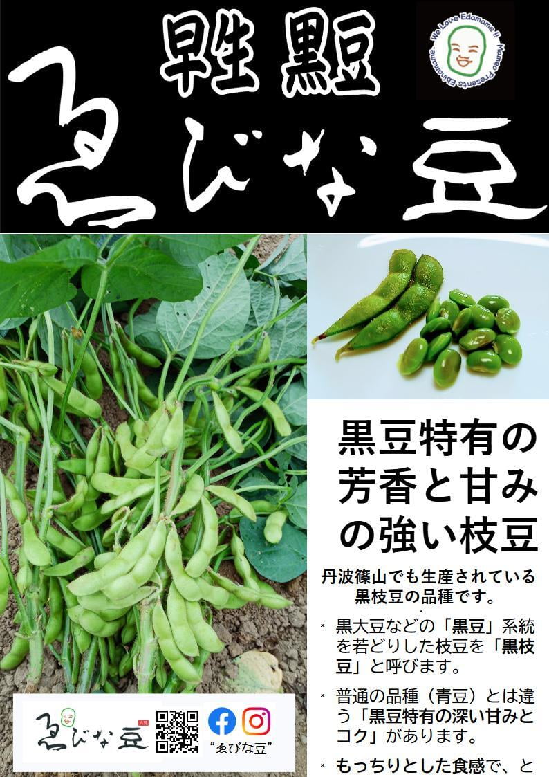 早生黒枝豆
