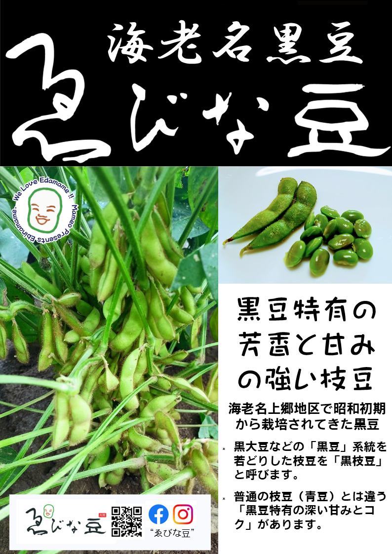 海老名黒豆